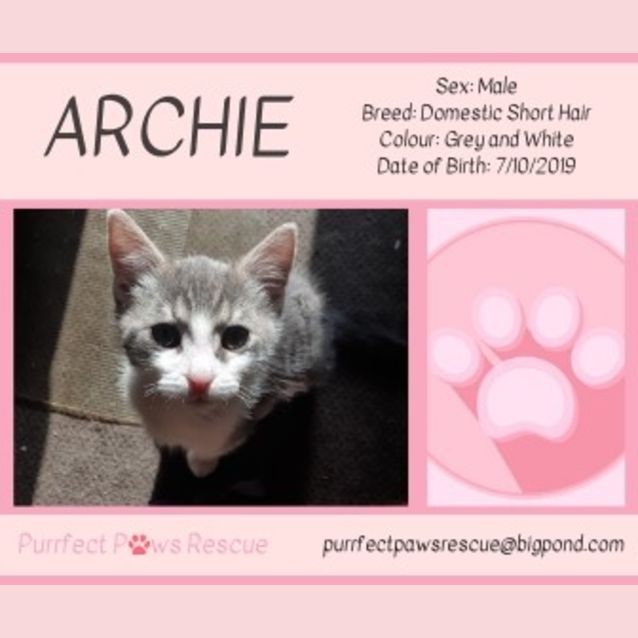 Photo of Archie