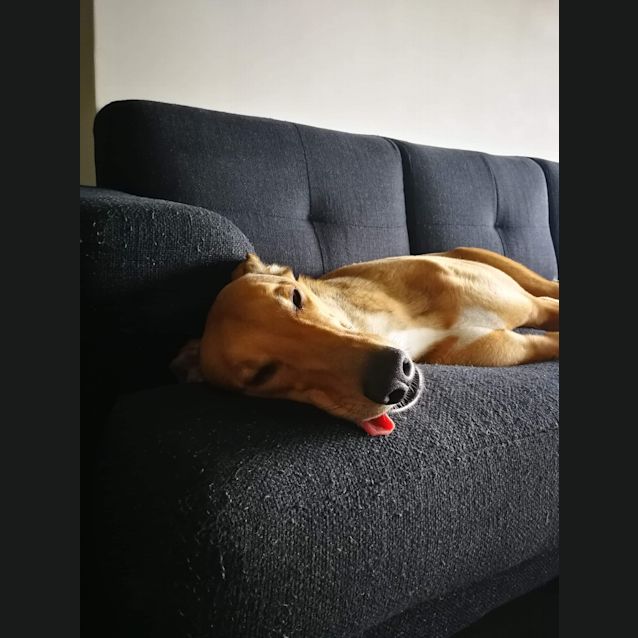 Photo of Jack