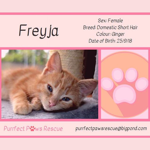 Photo of Freyja
