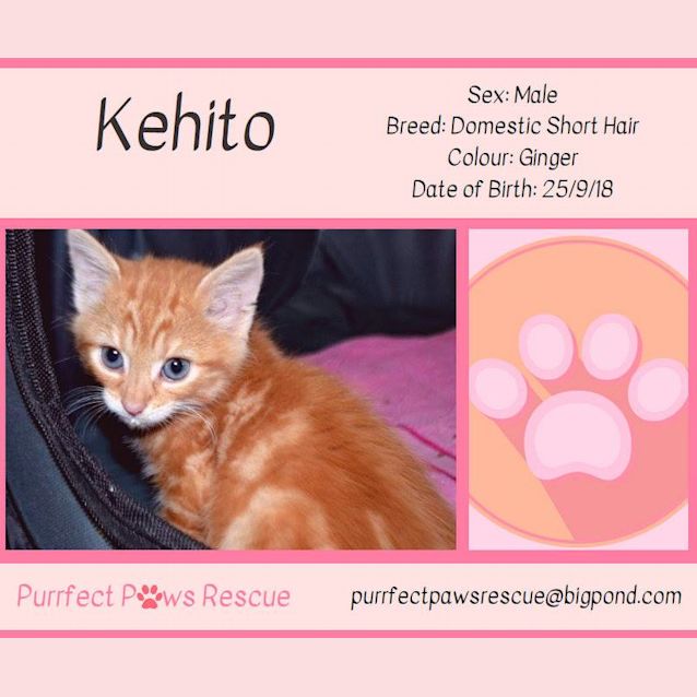 Photo of Kehito