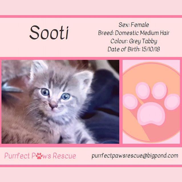 Photo of Sooti