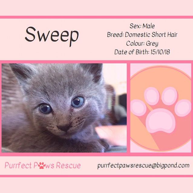 Photo of Sweep