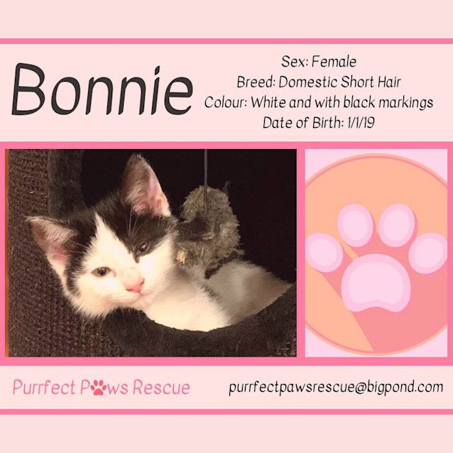 Photo of Bonnie