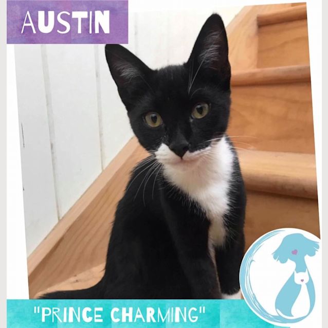 Photo of Austin