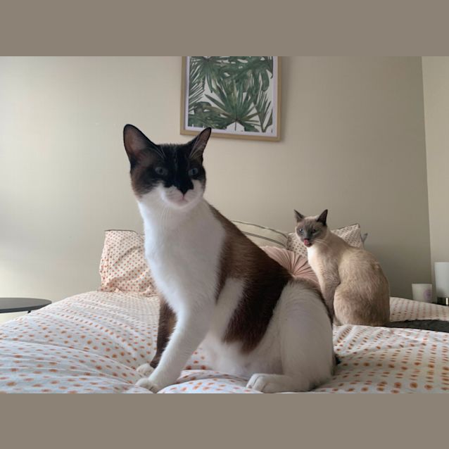 Photo of Mindy And Maggie