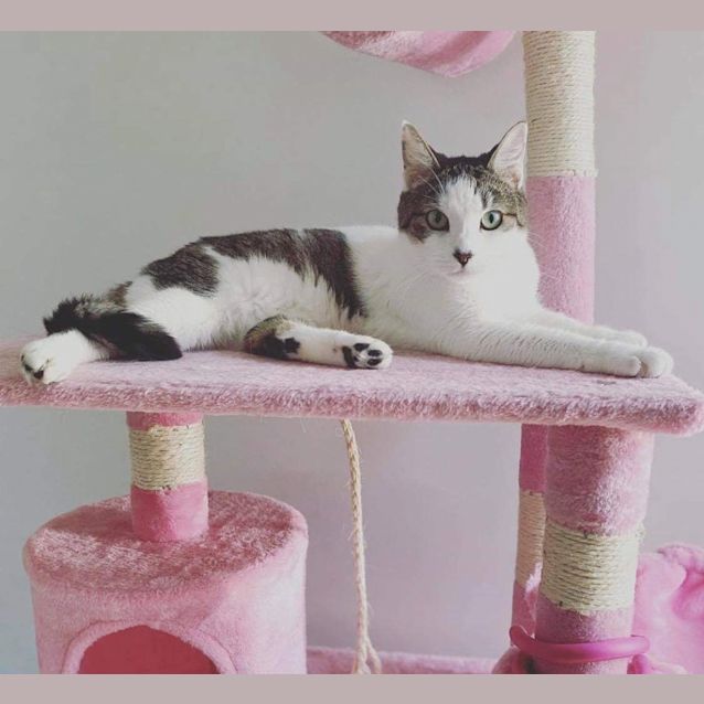 Photo of Amy