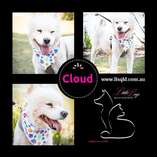Photo of Cloud