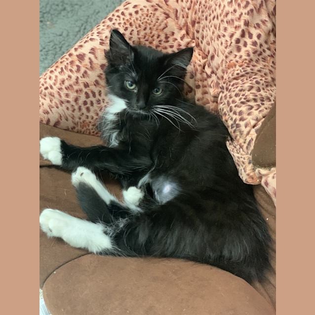 Photo of Evie