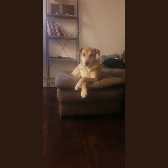 Photo of Oscar