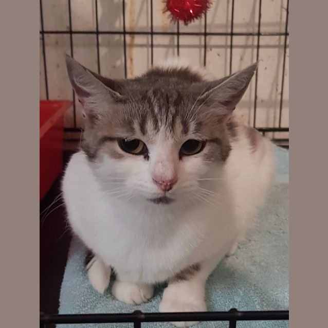 Photo of Penny