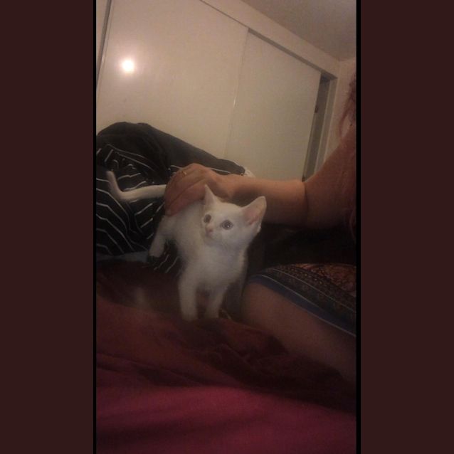 Photo of Ghost 