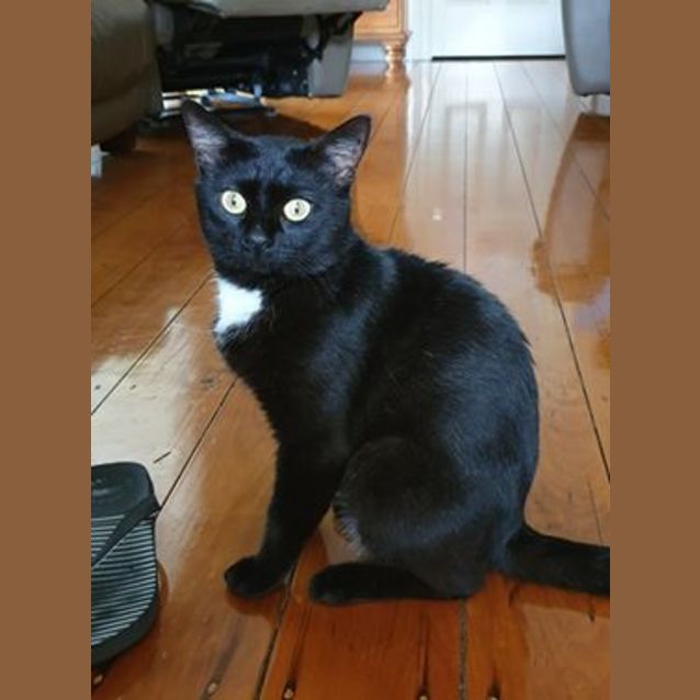 Photo of James Bond