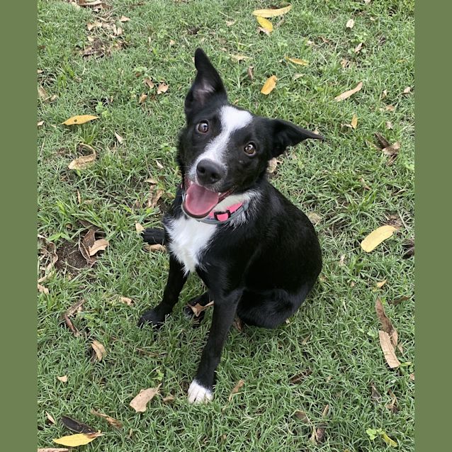 Photo of Roxy