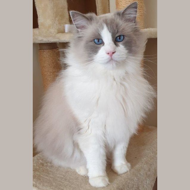Photo of Thomas