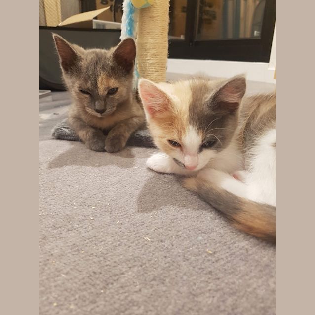 Photo of Talah & Winnie ❤❤