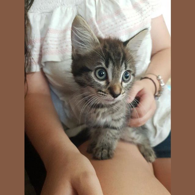 Photo of Hope