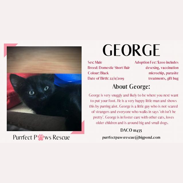 Photo of George (George Wickham)