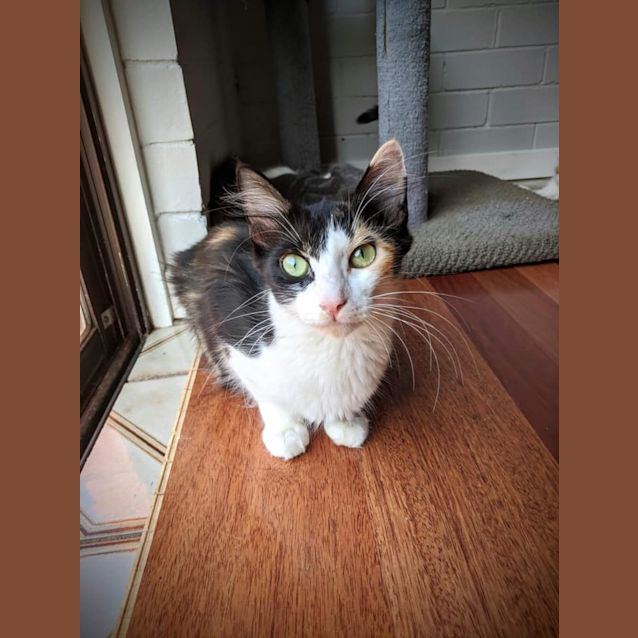 Photo of Tina