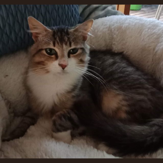 Photo of Hugo
