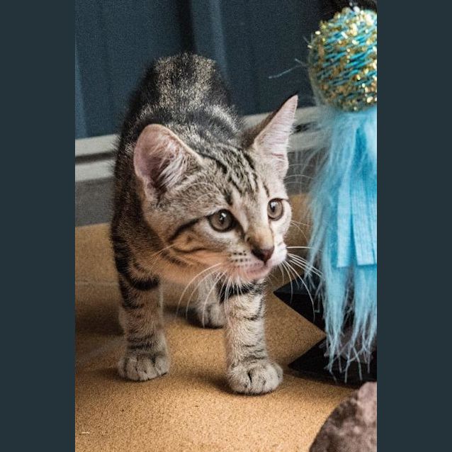 Photo of Sugar