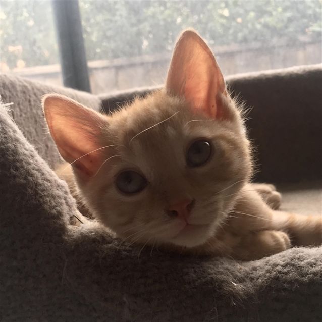 Photo of Lucky