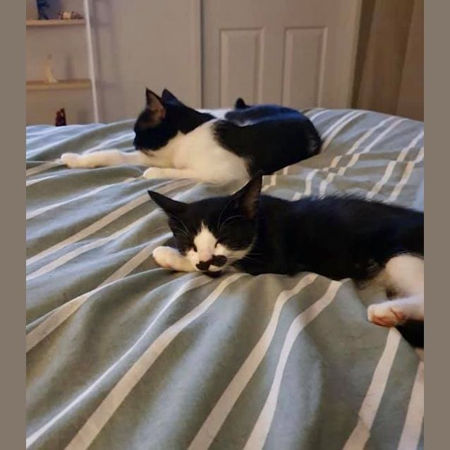 Photo of Mo/ Annabelle