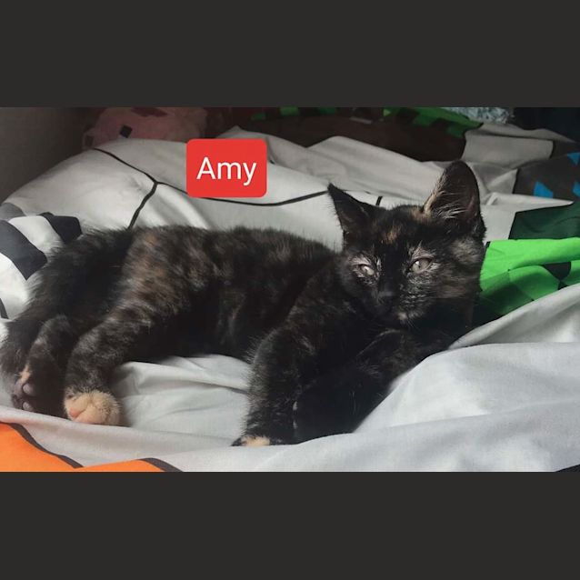 Photo of Amy