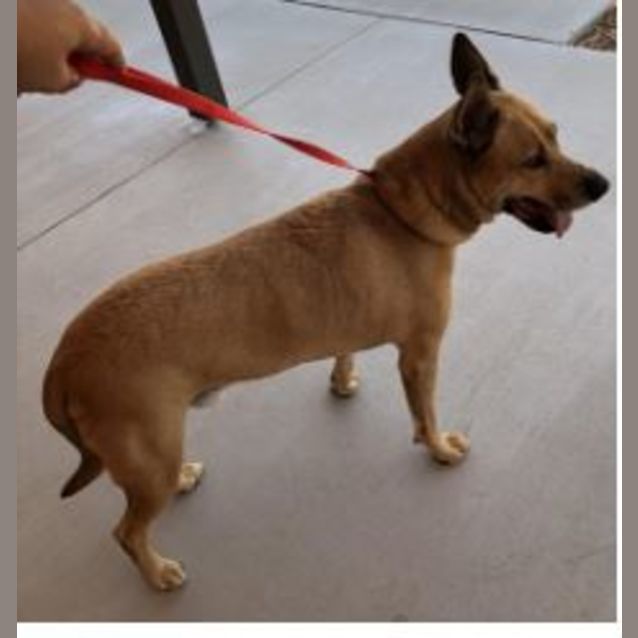 Photo of Thor Dl2396