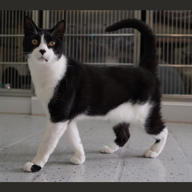 Photo of Jasper