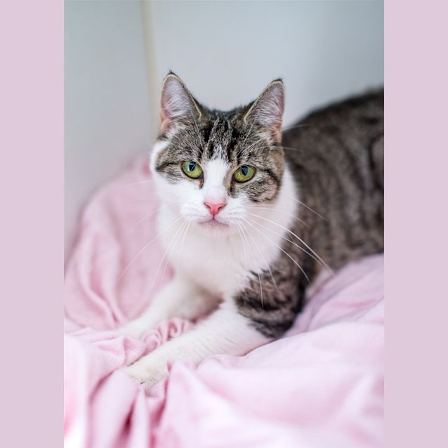 Photo of Nora