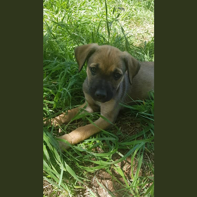 Photo of Mercedes 💔🧡