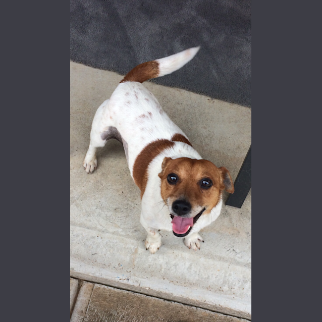 Photo of Fudge ❣❣