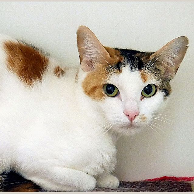 Photo of Hallie Sta004784
