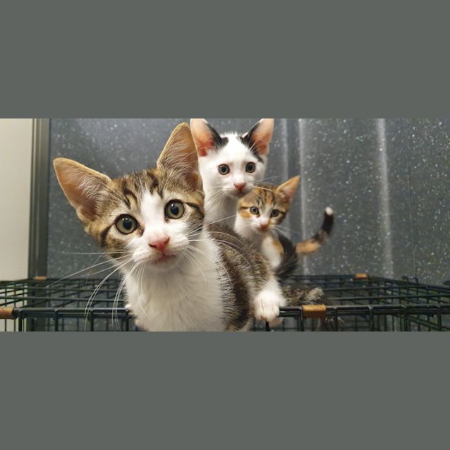 Photo of Seth And Ethan