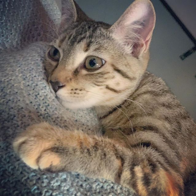 Photo of Sunny