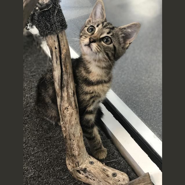 Photo of Bertie