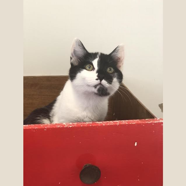 Photo of Keno
