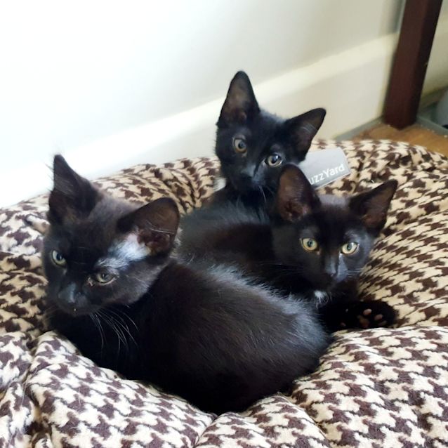 Photo of Sugar And Spice