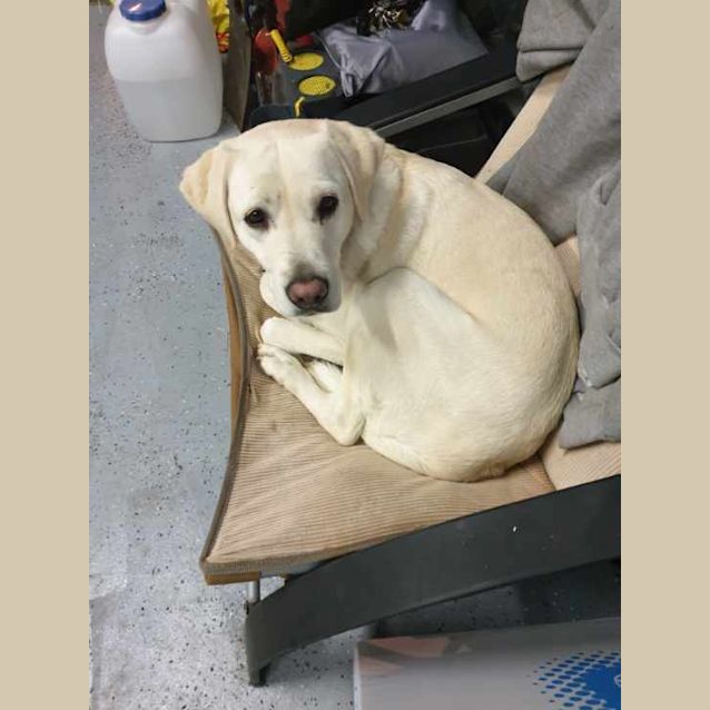 Photo of Bec 🌺🌺🌺