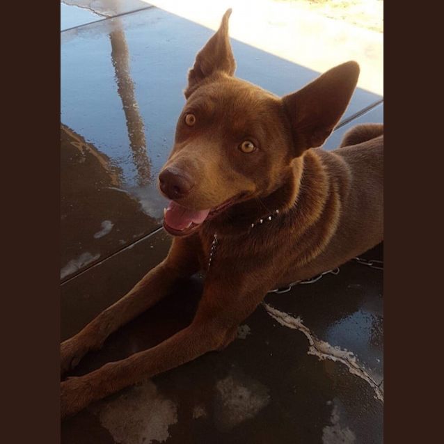 Photo of  **On Trial**Red