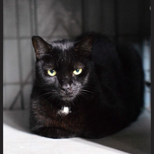 Photo of Jasper 