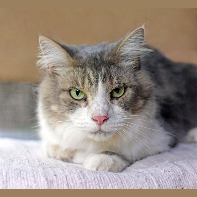 Photo of Theodore
