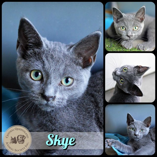 Photo of Skye