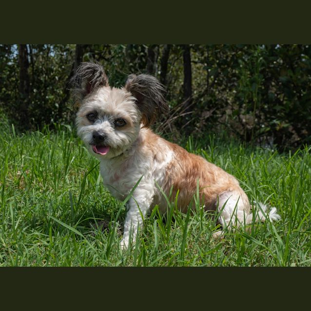 Photo of Mickey