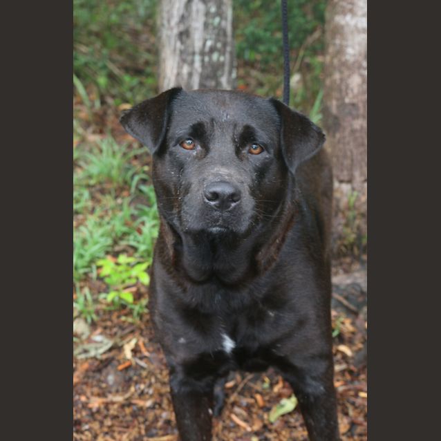 Photo of Ruby