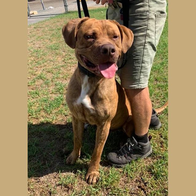 Photo of Mister Dl2411