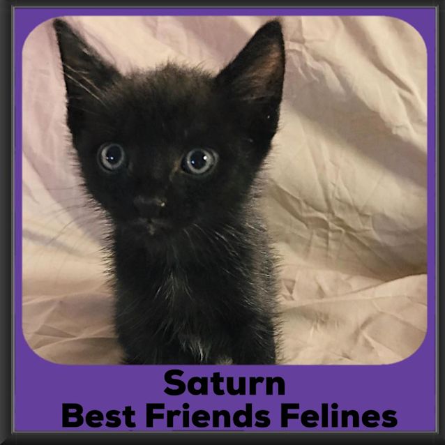 Photo of Saturn 