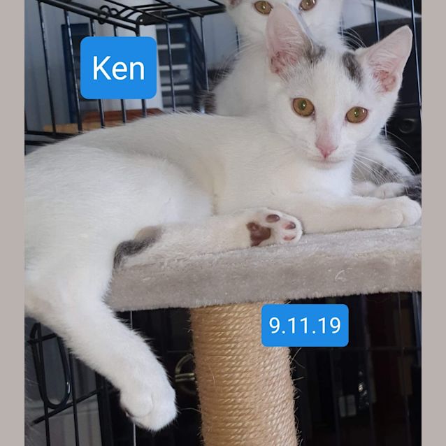 Photo of Ken