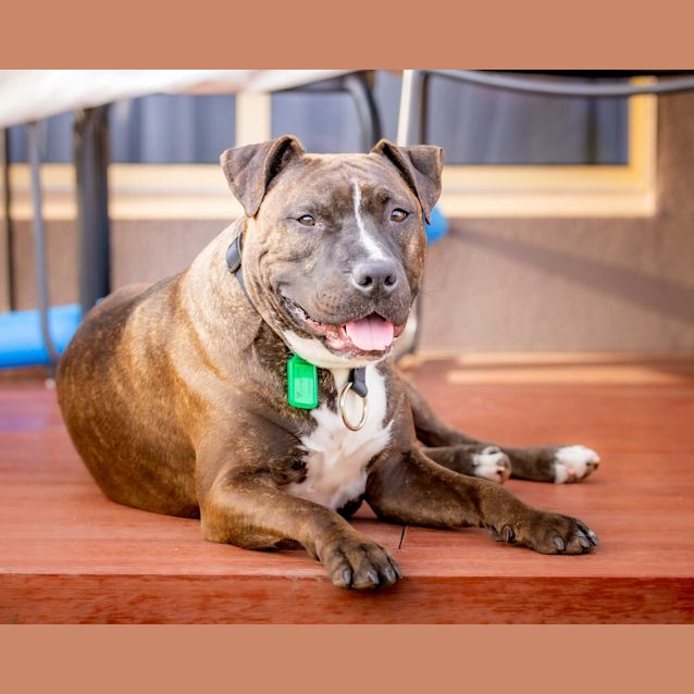 Photo of Louis Dl2376