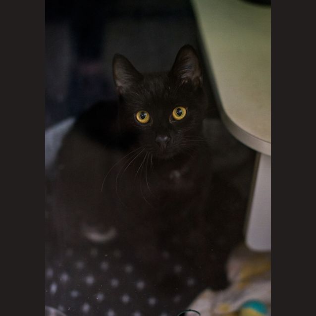 Photo of Bruce